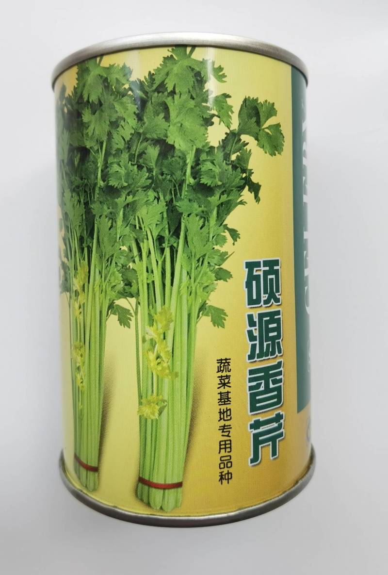 硕源香芹种子四季小香芹无纤维黄绿速生耐热菜农芹菜种子籽