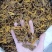 正品黄莲可批发可零售量大从优假一罚十