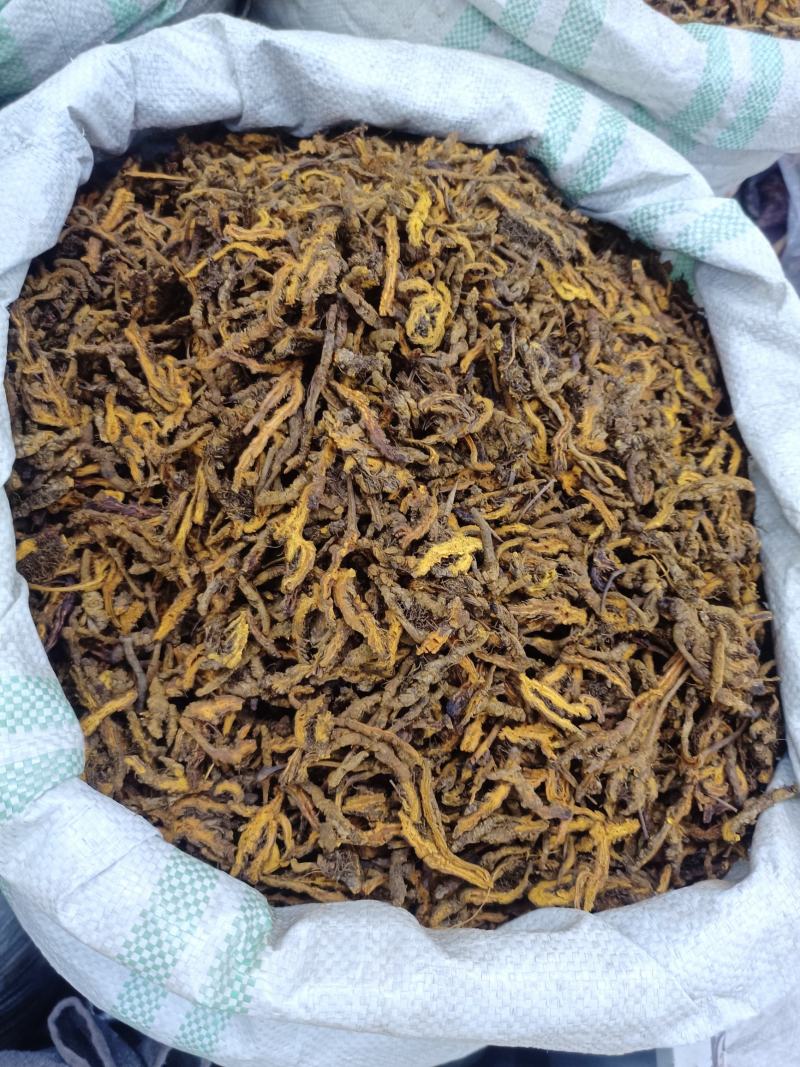 正品黄莲可批发可零售量大从优假一罚十