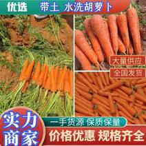 胡萝卜，带土，水洗都有，大条中条，小条，电商货，一手货源