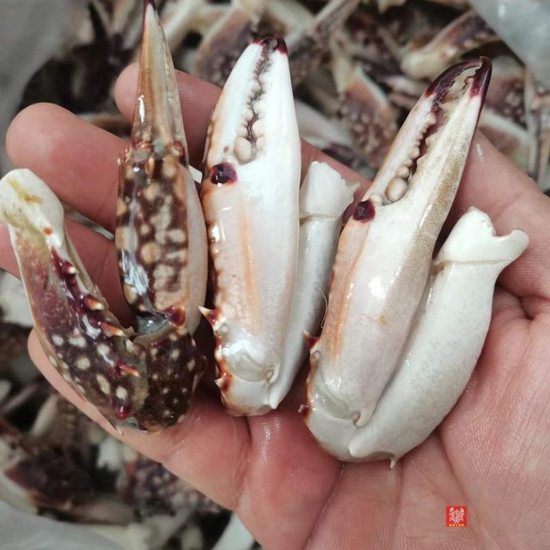 新鲜蟹腿梭子蟹蟹脚新鲜蟹钳源产地直发量大从优