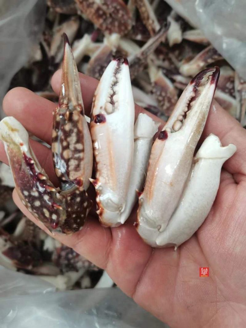 新鲜蟹腿梭子蟹蟹脚新鲜蟹钳源产地直发量大从优