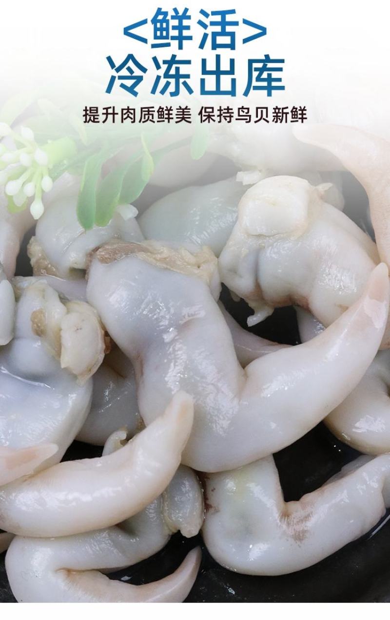鸟贝肉新鲜冷冻海鲜鲜活冰冻鸟贝刺身鸟蛤捞汁火锅烧烤食材商