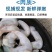 鸟贝肉新鲜冷冻海鲜鲜活冰冻鸟贝刺身鸟蛤捞汁火锅烧烤食材商