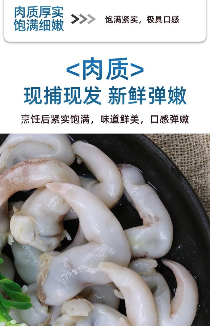 鸟贝肉新鲜冷冻海鲜鲜活冰冻鸟贝刺身鸟蛤捞汁火锅烧烤食材商
