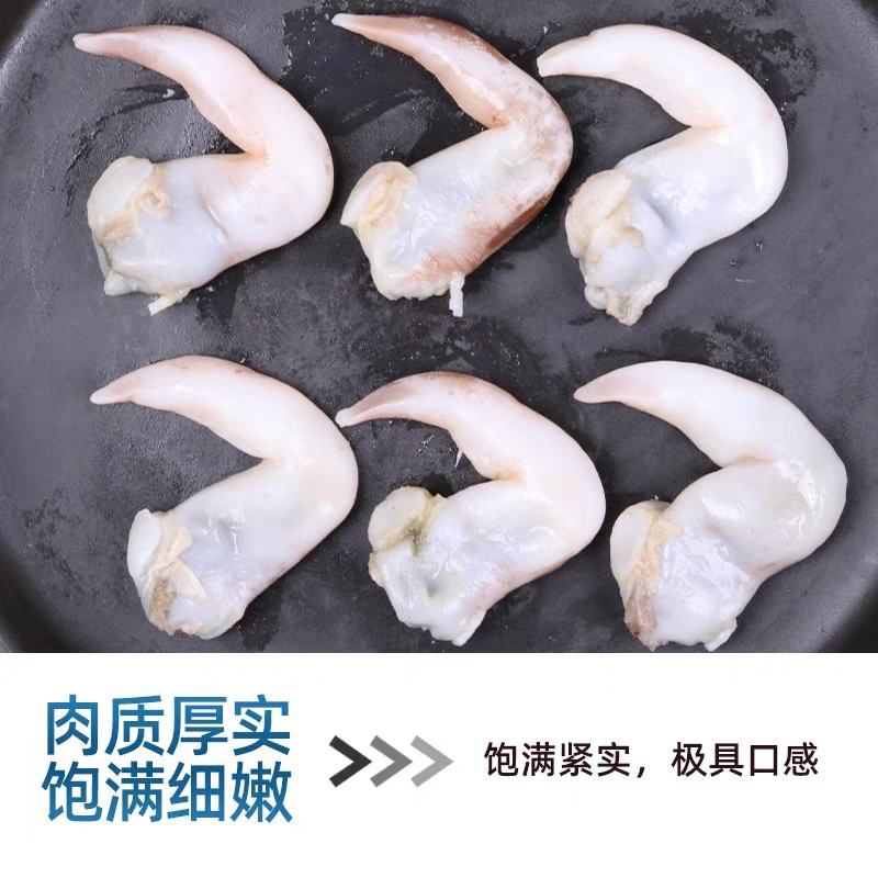 鸟贝肉新鲜冷冻海鲜鲜活冰冻鸟贝刺身鸟蛤捞汁火锅烧烤食材商
