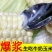 水果玉米爆浆牛奶冰糖甜玉米现当季现摘开袋即食生吃玉米