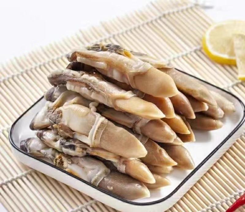 蛏子肉新鲜冷冻蛏王肉小海鲜捞汁半成品竹节蛏鲜活冰冻海圣子