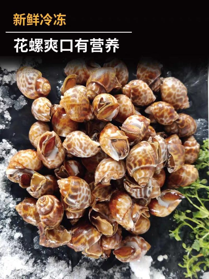 花螺鲜活冷冻新鲜特大花螺商用批发海鲜水产东风螺猫眼螺大海