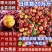 油桃曙光中油多品种多选择产地供应品质保证坏果包赔