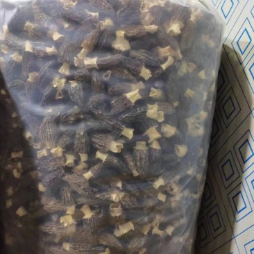 干羊肚菌产地发货