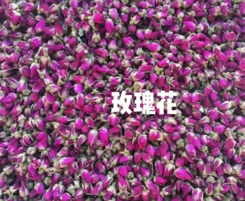 苦水玫瑰花蕾兰州特产自产自销一手货源批发