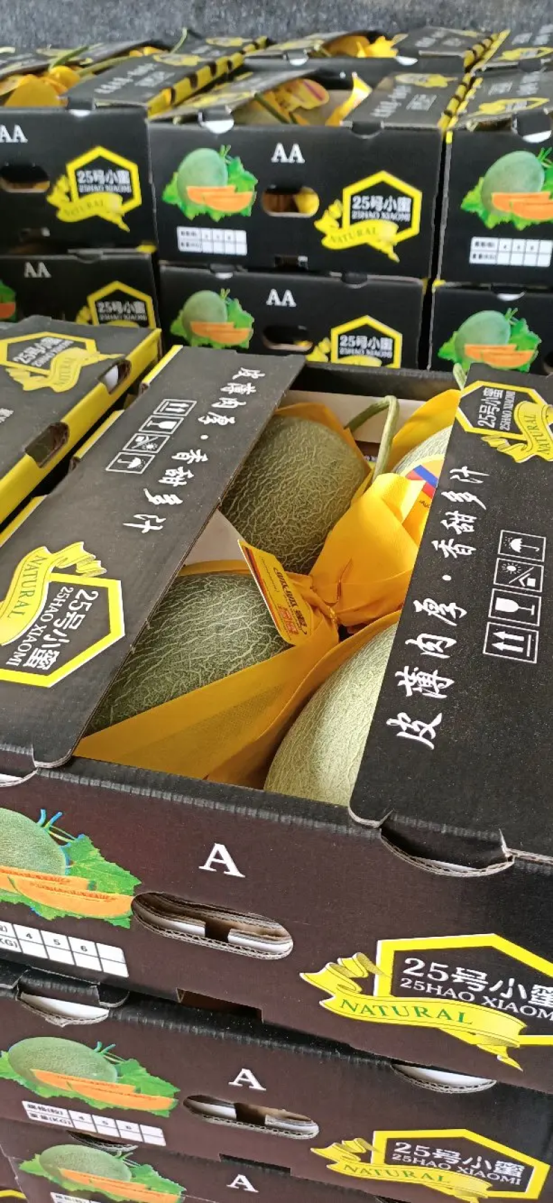 优选西州蜜瓜25哈密瓜产地直供一手货源鲜货供应量大优惠