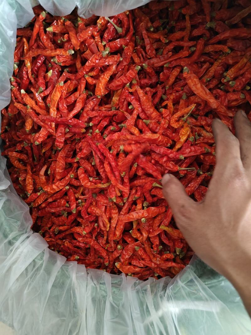 云南建水艳红精品干辣椒