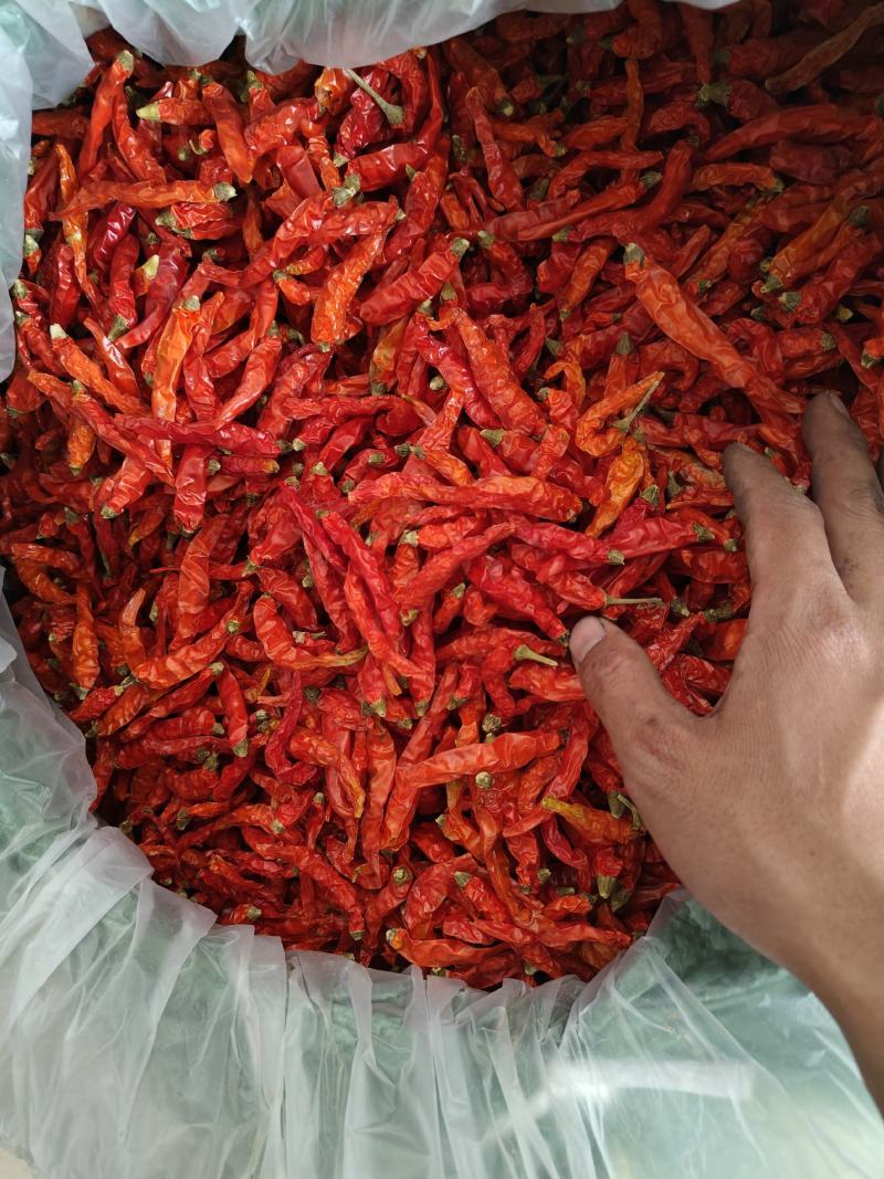 云南建水艳红精品干辣椒