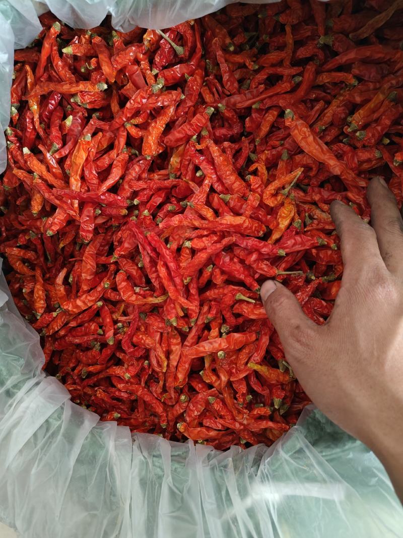云南建水艳红精品干辣椒