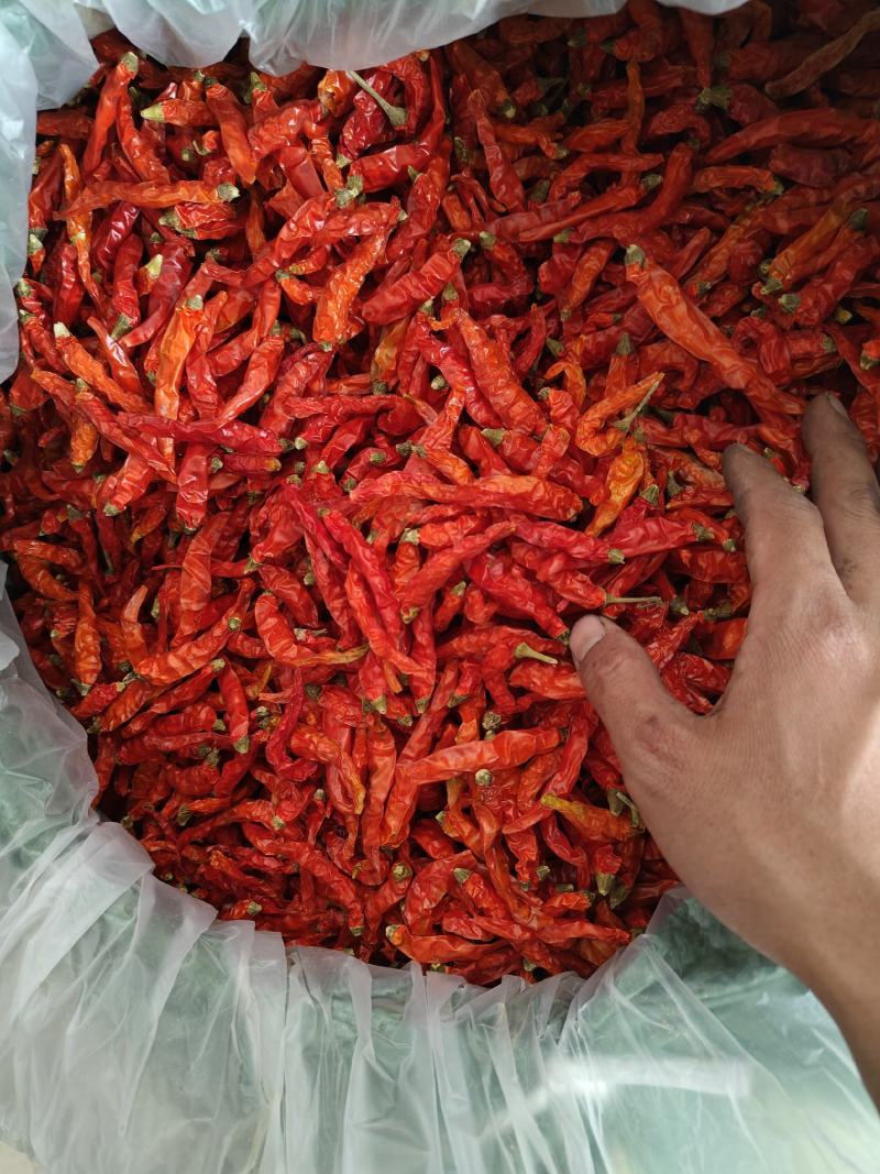 云南建水艳红精品干辣椒