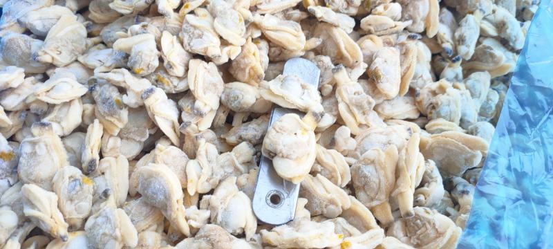 花蛤肉蛤蜊肉无壳无沙新鲜花甲
