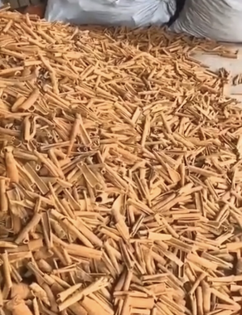 烟桂