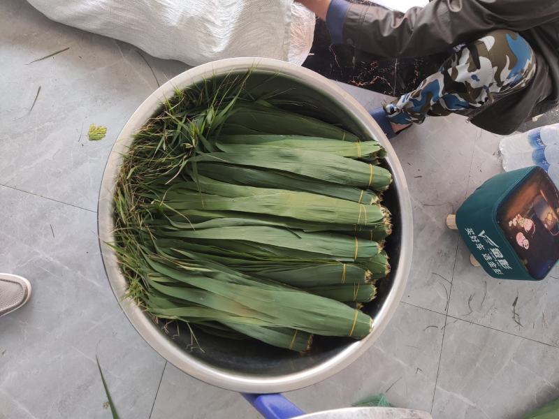 芦苇叶