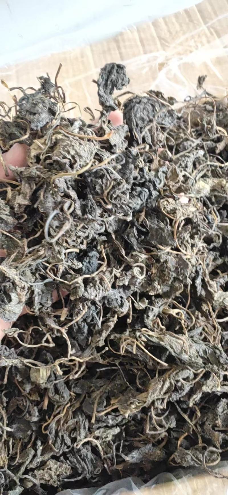 苋菜干苋菜干农家菜自产自销量大从优，欢迎来电咨询