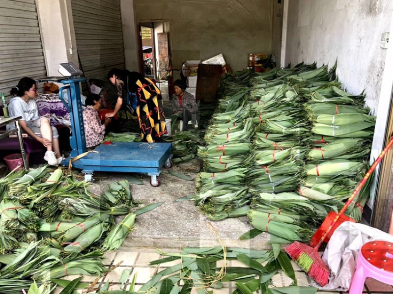粽叶，精品粽叶，8公分以上宽，长35以上