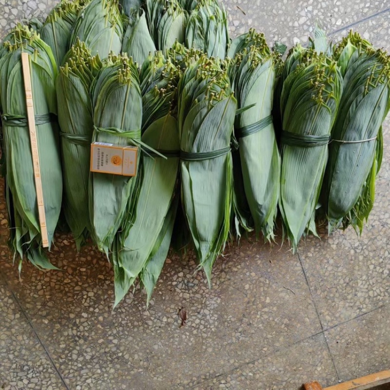 粽叶，精品粽叶，8公分以上宽，长35以上