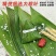 粽叶，精品粽叶，8公分以上宽，长35以上