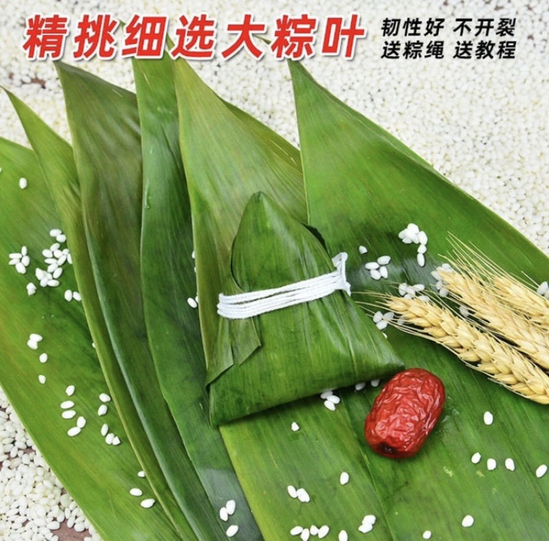 粽叶，精品粽叶，8公分以上宽，长35以上