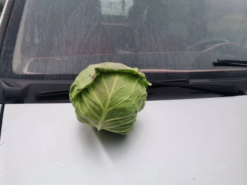 有需要的打电话联系。