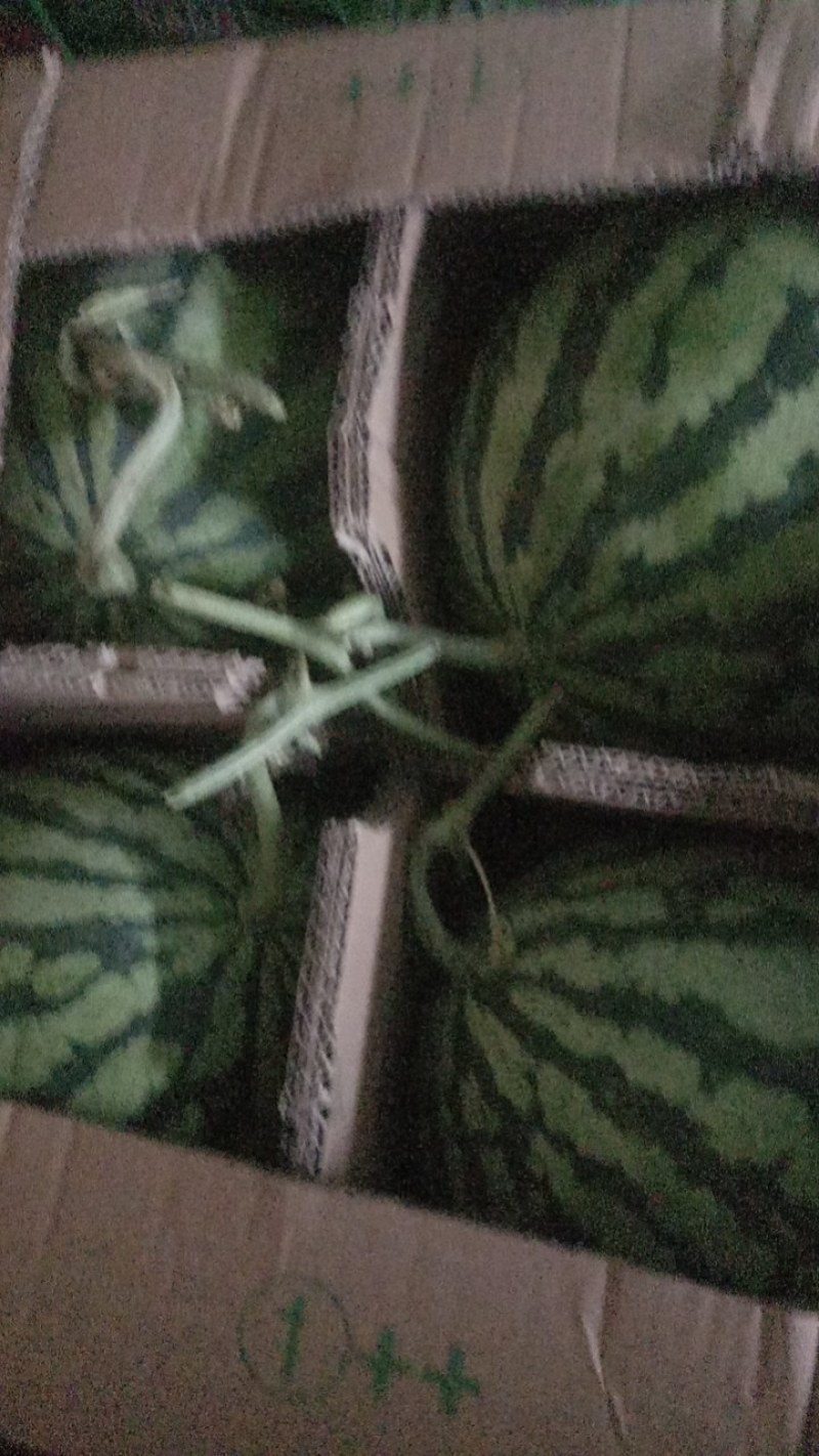 8424美都发货中，保证质量，欢迎订购