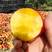黄心油桃，产地大量销售中，个大均匀，对接电商社区团购商