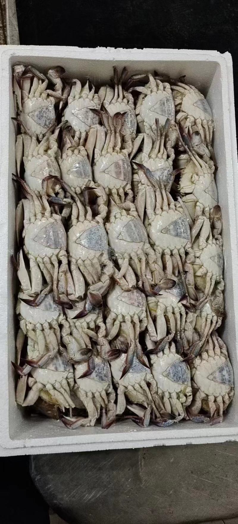 螃蟹。黑三角，花三角，梭子蟹，各种规格，货源充足