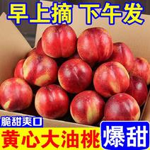 [好吃]精品黄油桃油桃产地直供对接各大市场商超电商