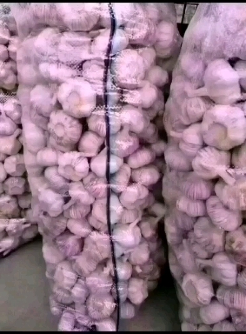 金乡县红皮大蒜新蒜开始上市，入库，发巿场F开始了