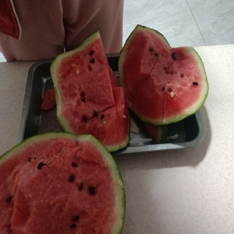 辽宁盖县锦王西瓜上市了