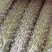 精品黄瓜，货量充足，品质保证，质优价廉，欢迎来电