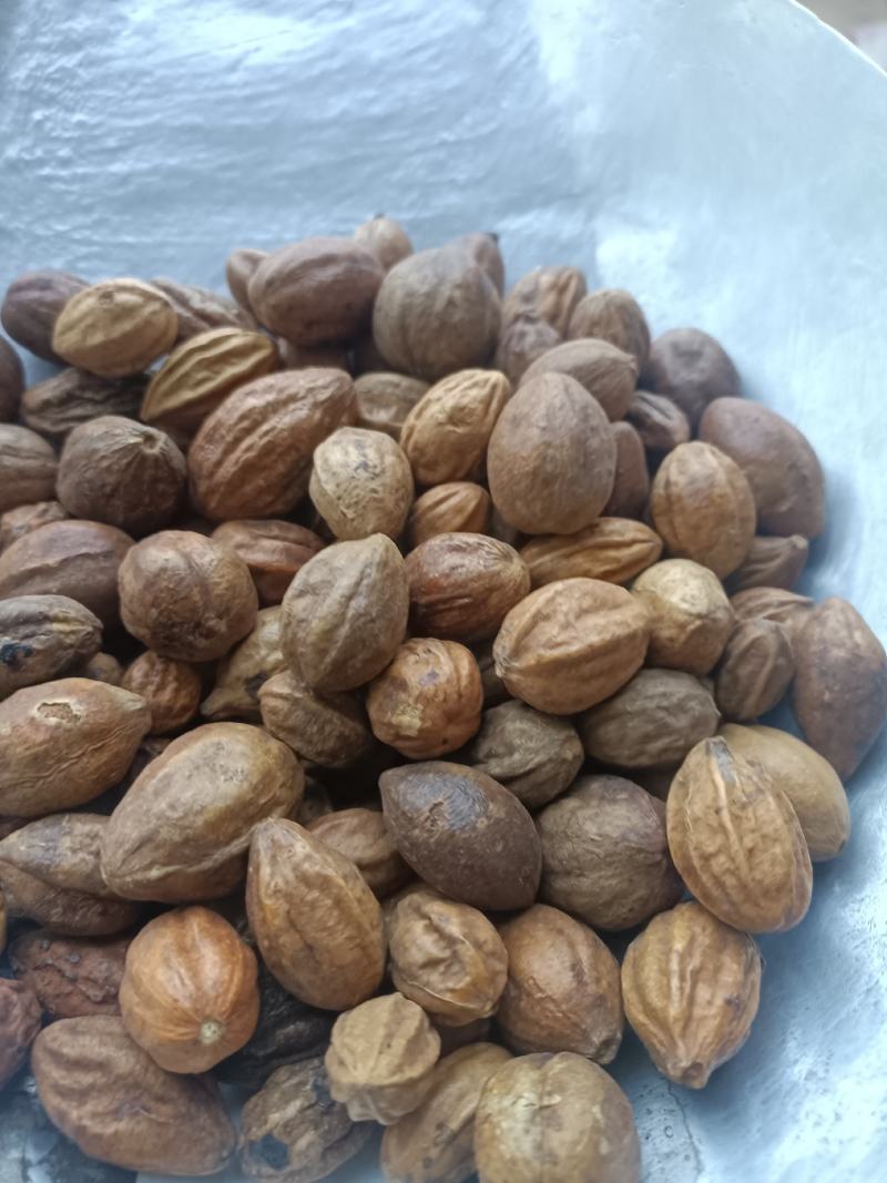 诃子，产地江西，中药材批发，足斤足量，支持在线下单
