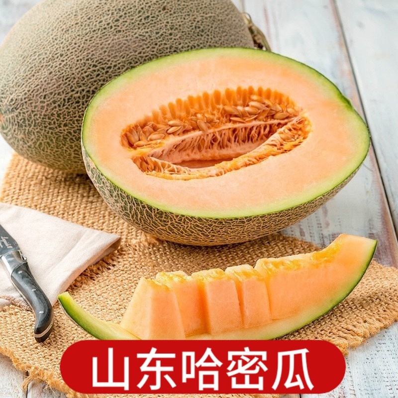 山东潍坊西州蜜瓜上市中产地一手货源品质保证口感脆甜