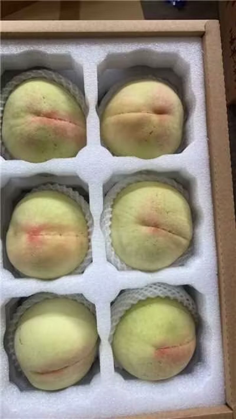 无锡阳山水蜜桃大量供应欢迎考察参观质量保证