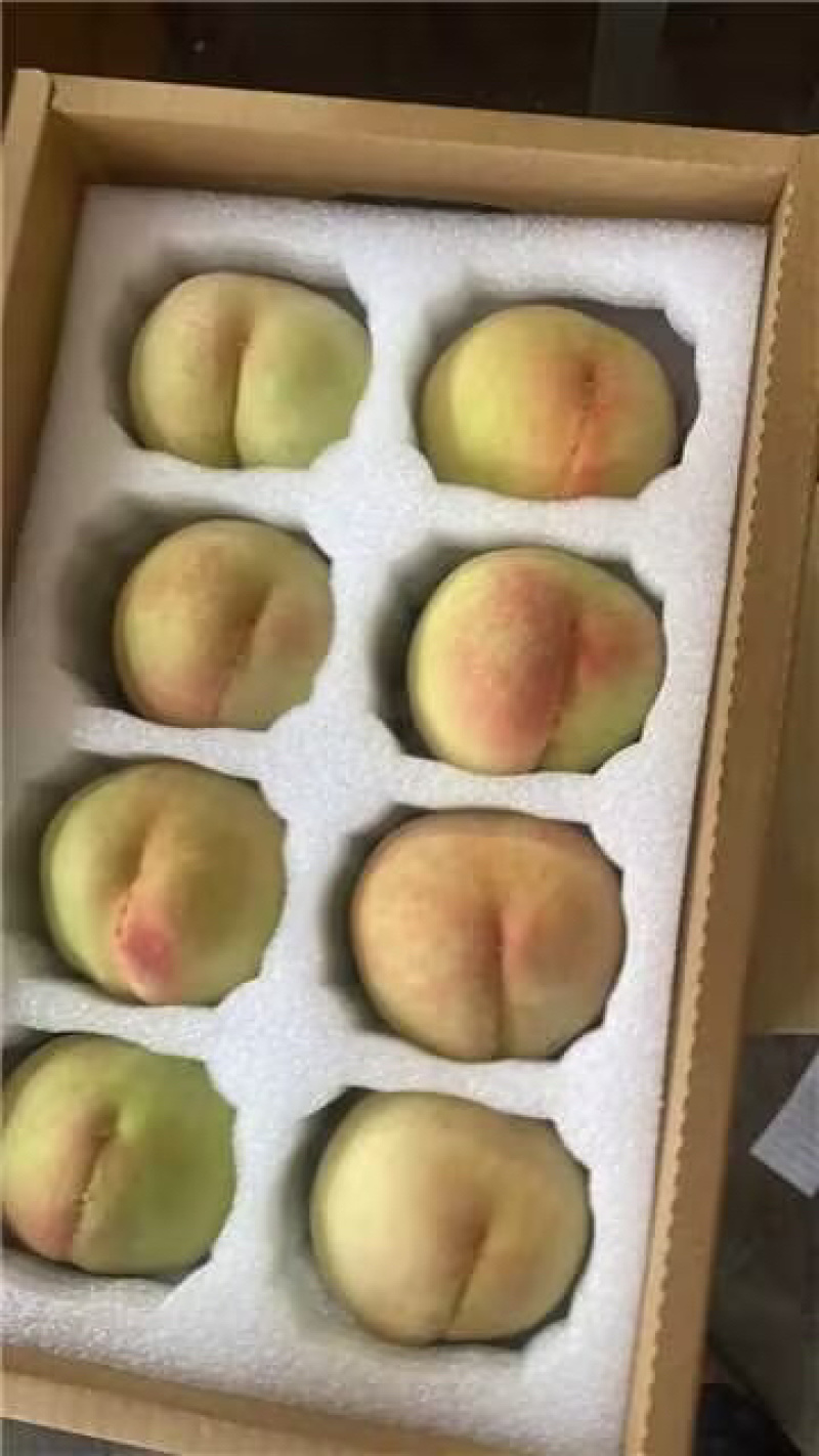 无锡阳山水蜜桃大量供应欢迎考察参观质量保证