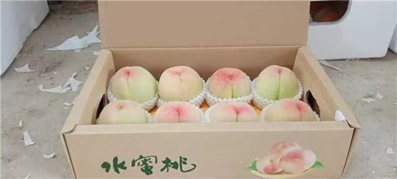 无锡阳山水蜜桃、一件代发、批发、团购、货源稳定、长期供货