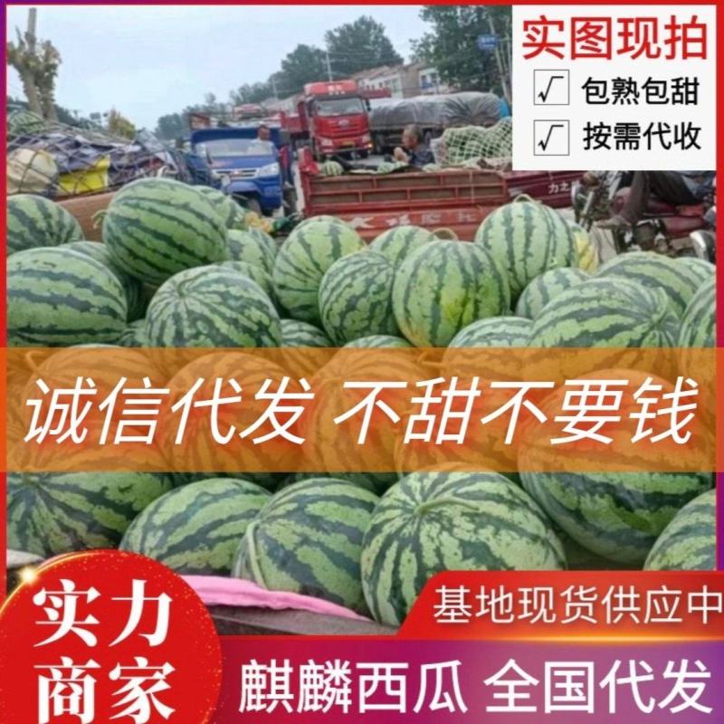 《实力商家》开封甜王西瓜西瓜规格全价格便宜包熟甜