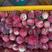 文山红宝石水蜜桃大量上市需要的老板感觉联系了