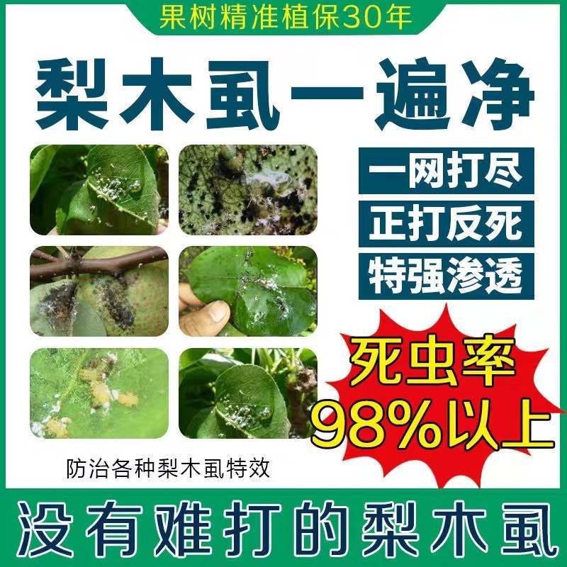 螺虫噻嗪酮介壳虫杀虫剂蚜虫锈壁虱潜叶蛾梨木虱专用农药