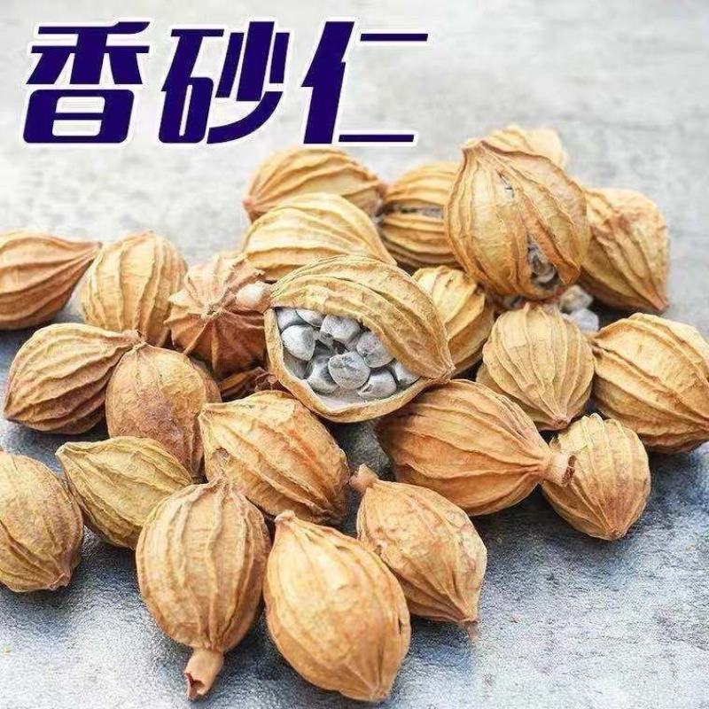 新货香砂仁川砂仁金沙仁粉卤肉香料调料包炖肉火锅底料厨房调