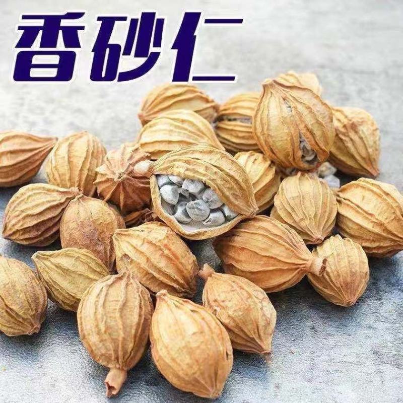 新货香砂仁川砂仁金沙仁粉卤肉香料调料包炖肉火锅底料厨房调