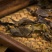昆布批发中草药药用昆布丝江白菜纶布海昆布无硫正品