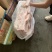 猪背膘，遇冷脊膘，好货