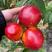 湖北黄心油桃中油桃大量上市，货源充足品种齐全价格合理
